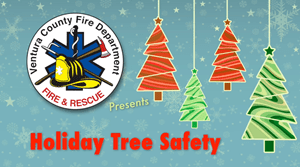 Holiday Tree Safety