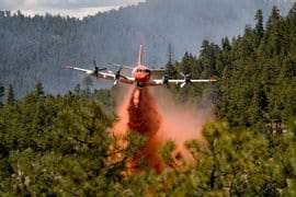 Wildfire response system