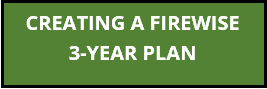 Create a Firewise 3yr Plan Button
